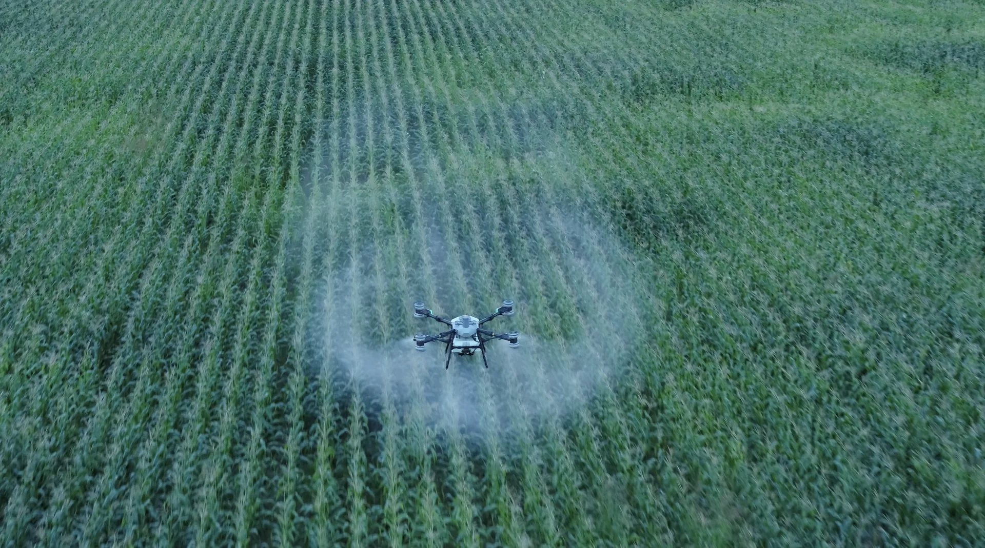 Crop care service