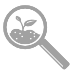 Soil Analysis